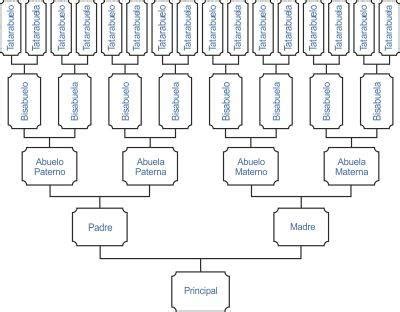 mis antepasados según mi apellido gratis|Cómo Conocer Tu Árbol Genealógico por Apellidos de Forma。